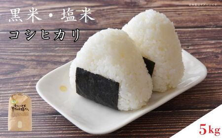 《令和7年産・予約受付》黒米・塩米（コシヒカリ）約5kg ／ お米 米 精米 白米 コシヒカリ こしひかり 5kg 新米 令和７年産 千葉県