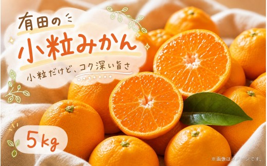 
                  【ふるさと納税】 有田の小粒みかん5kg　(S〜3Sサイズ混合) ※2026年11月下旬頃～2027年1月下旬頃に順次発送予定(お届け日指定不可) / みかん ミカン 蜜柑 温州みかん 柑橘 フルーツ 果物 くだもの 和歌山【uot845】
                