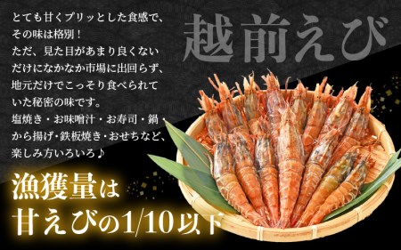 新鮮！えび 2種 食べ比べ セット（甘えび 越前えび）約2～3人前【少量 小分け お試し 冷凍 おつまみ お刺身 越前エビ】 [e04-a064]