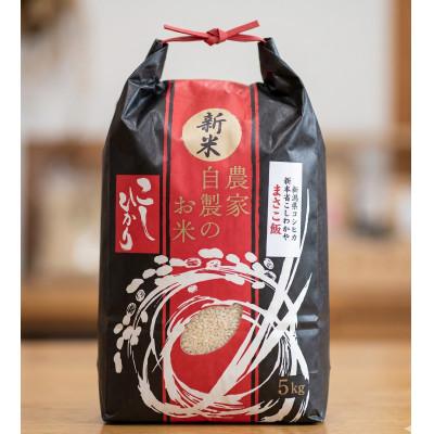 ふるさと納税 館林市 令和8年産　館林市産こしひかり精米5kg |  | 01