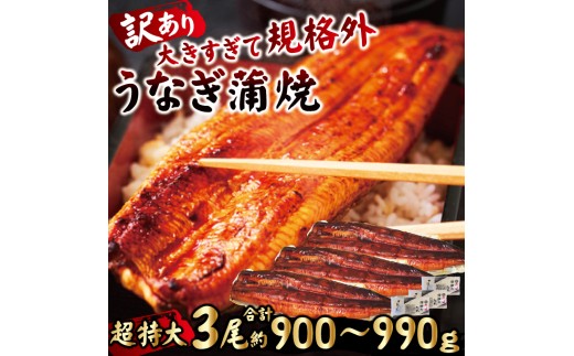 ＜すぐ届く！＞ うなぎ 訳あり 蒲焼き 3尾 計900g以上 (1尾あたり300g～330g×3尾) 冷凍 たれ 山椒 鰻 ウナギ うな重 ひつまぶし かばやき 訳アリ 規格外 丑の日 茨城県 スピード発送 すぐ 届く【そうざい男しゃく】【ho1686-1】