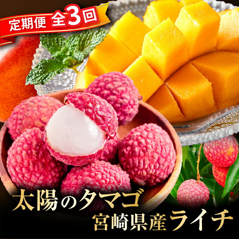 【ふるさと納税】 《2026年発送 先行予約》【数量・期間限定】【全3回】太陽のタマゴ・ライチ定期便 マンゴー 完熟マンゴー ブランド ライチ 定期便 セット デザート スイーツ おやつ 果物 フルーツ 果実 旬の果物 季節の果物 旬 季節 贈答 贈り物 ギフト 特産品 名物 宮崎
