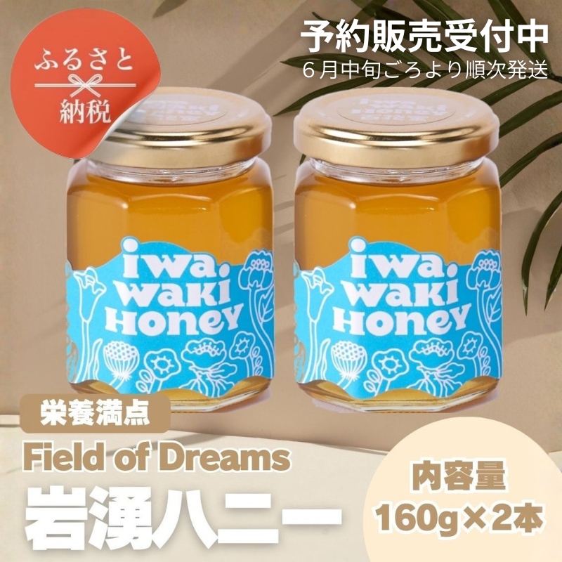＜2026年6月中旬以降発送　先行予約受付中！＞ 岩湧ハニー 純粋百花はちみつ 160g×2本セット 国産天然はちみつ 大阪府 河内長野市 ギフト 百花蜜 ビタミン ミネラル 酵素 パンケーキ ヨーグ