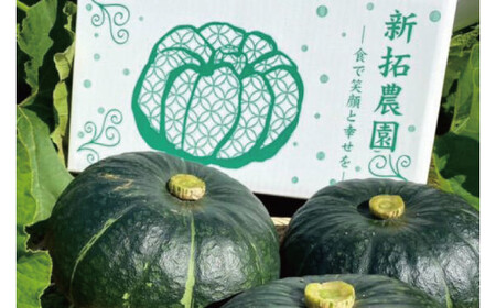 新拓農園のこだわり夏かぼちゃＭセット 【7月下旬より順次配送 野菜 やさい カボチャ 1万円以内 10000円以内 ほくほく 甘い おいしい パンプキン 国産 産地直送 期間限定 季節限定 茨城県 鹿