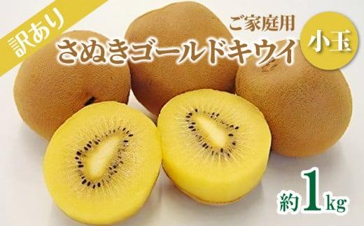訳あり ご家庭用 さぬきゴールドキウイ (小玉) 約1kg【2025年10月中旬～2026年1月下旬配送】 372013_T006-239J