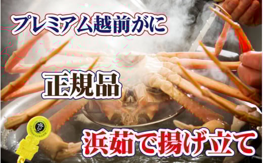 越前がに本場の越前町からお届け！ 越前がに × 1杯（三番蟹）納得のプレミアム越前がに【2月発送分】【生でお届け】希望日指定可 備考欄に希望日をご記入ください [e37-x004【】02a]