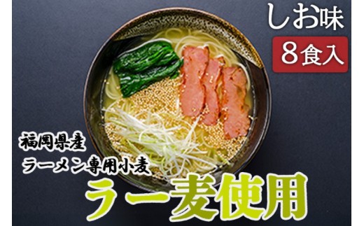 
しお ラーメン 福岡県産 ラー麦使用 しおラーメン 8食入 塩 たなばたの里
