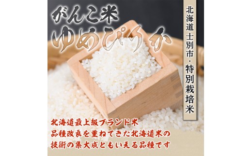 ＜令和8年産 新米 先行予約！＞田舎塾特別栽培米「がんこ米ゆめぴりか」(5kg) 【2026年10月上旬以降順次発送】 米 お米 白米 北海道産 北海道米 ゆめぴりか 特A 一等級 ごはん おこめ コ