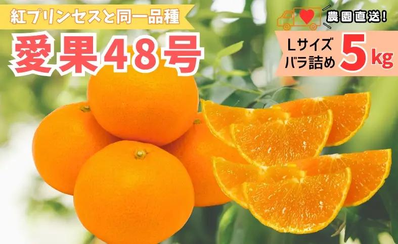 【2027年先行予約】みかん 愛果48号 5kg Lサイズ バラ詰め 贈答用 【2027年3月中旬より順次発送予定】 紅プリンセスと同一品種 農園直送 愛媛 数量限定 愛媛県産 人気 柑橘 伊予市｜C191