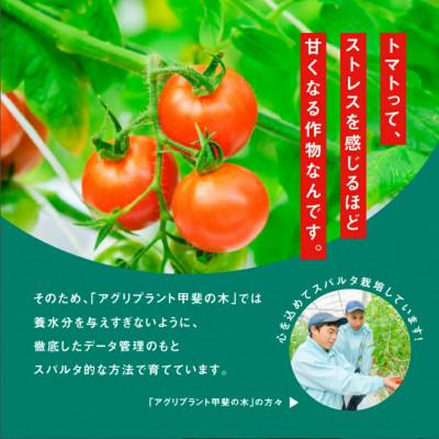ふるさと納税 江津市 【ギフト】スパルタ生まれの笑ちゃんのトマトピューレ(270g×3本) |  | 02