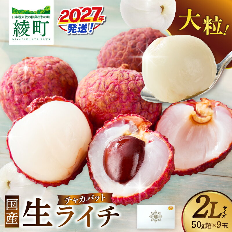 【ふるさと納税】先行予約 希少 国産 綾 生ライチ 大粒 2L サイズ（化粧箱入り）果物 フルーツ くだもの 国産ライチ 2027年 トロピカルフルーツ 南国フルーツ 冷蔵 ジューシー デザート ギフト 贈り物 プレゼント ご褒美 宮崎県 送料無料【JA綾町】