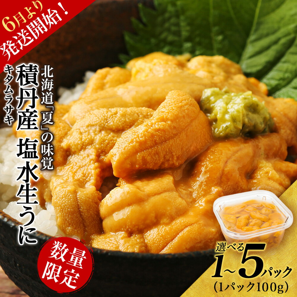 【ふるさと納税】≪2026年夏発送分≫ 数量限定！積丹産 塩水生うに 選べる1パック〜5パック 1パック100g【三上商店】北海道ふるさと納税 積丹町 むらさきうに 塩水 ムラサキウニ 生うに 北海道 うに 雲丹 通販 ギフト 2026年