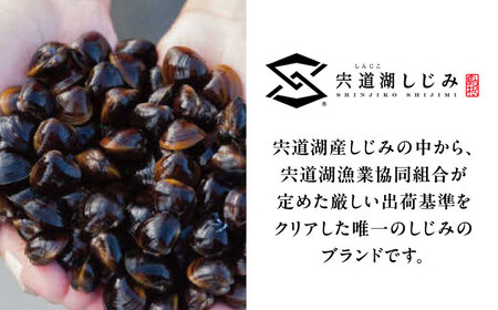【全12回定期便】地元でも入手困難なレアサイズ！ Lサイズ 宍道湖産ヤマトシジミ(冷凍砂抜き済み)1kg×2袋(2kg) 島根県松江市/宍道湖漁業協同組合[ALAZ011]