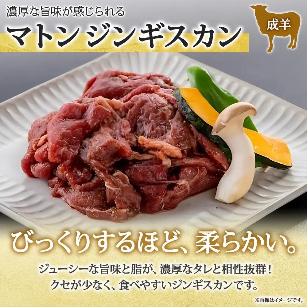 長野県 不動温泉 さぎり荘 謹製 ジンギスカン 2種 食べ比べ セット マトン ラム 各250g×1袋 計500g 羊 味付 焼肉 BBQ  小分け お取り寄せ 産地直送 信州新町 送料無料 長野市 