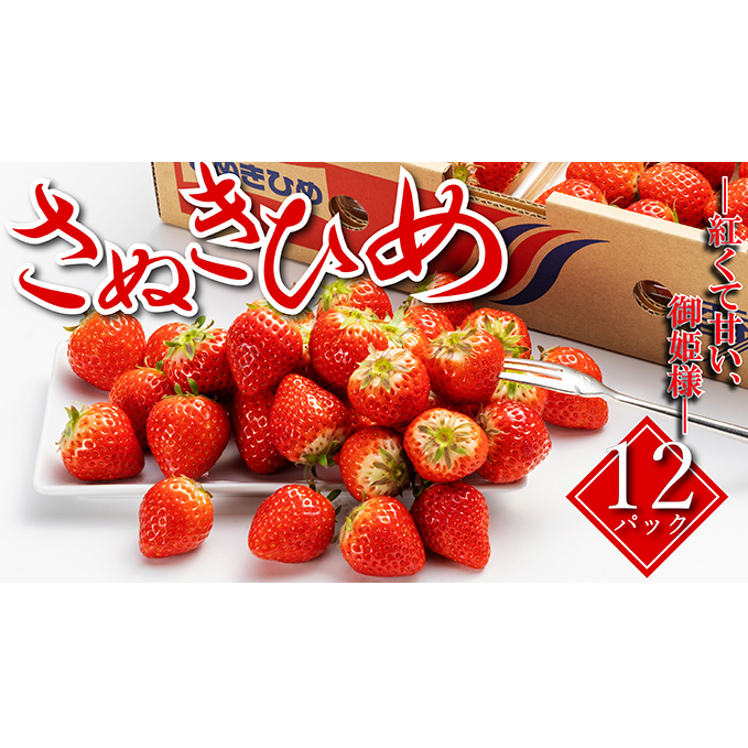 いちご 先行予約 秀品 さぬきひめ 約250g×12パック 丸亀の紅い宝石 フルーツ 果物 デザート 旬 産地直送 旬の果物 旬のフルーツ お取り寄せ 取り寄せ 冷蔵 冷蔵配送 【53410525】