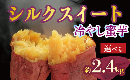 焼き芋 蜜芋 冷蔵 シルクスイート 約2.4kg 配送：11月下旬～
