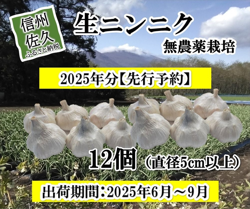 
            【先行予約】 生ニンニク 12個 (直径5cm以上) にんにく 無農薬栽培 ホワイト 六片種 最高級 薬味〈出荷時期:2025年6月1日出荷開始～9月30日出荷終了〉【 ホワイト六片種 ニンニク 大蒜 安心安全 農薬 不使用 長野県 佐久市 小林農園 MK企画 旬彩 】
          