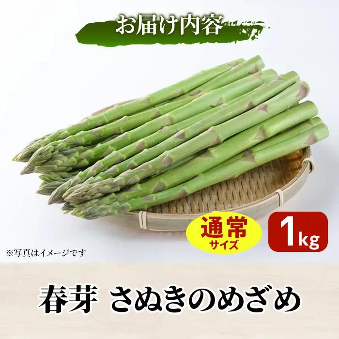 ＜先行予約！2027年3月上旬以降順次発送予定＞春芽！アスパラガス「さぬきのめざめ」(約1kg) 香川県 国産 野菜 アスパラ 新鮮 冷蔵便 【man116-A】【Aglio nero】