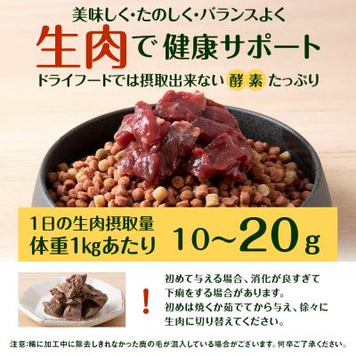 ふるさと納税 浜頓別町 犬 おやつ 鹿肉 冷凍エゾシカ生肉 1kg (200g×5パック) |  | 01