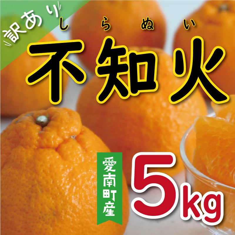 
                  訳あり 不知火 5kg 10000円 みかん しらぬい 産地直送 国産 農家直送 糖度 果樹園 期間限定 数量限定 特産品 ゼリー ジュース 人気 限定 さわやか 甘い フルーツ 果物 柑橘 蜜柑 規格外 ヤマカ園 愛南町 愛媛県
                