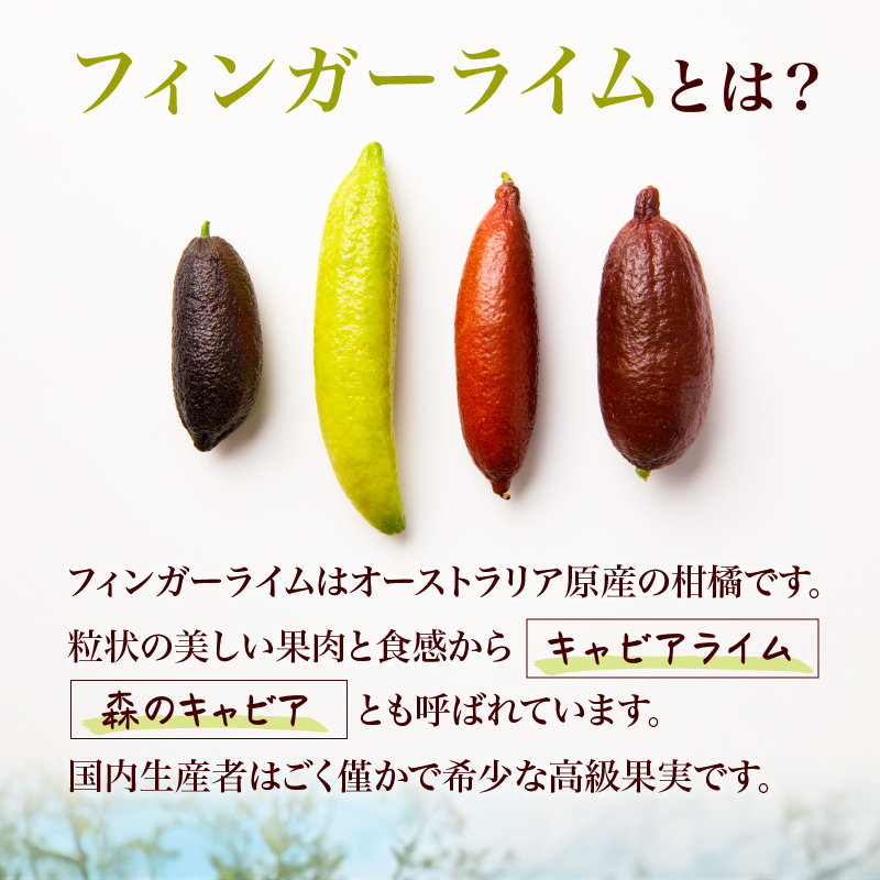 フィンガーライム　150g 【0094-004】_イメージ2