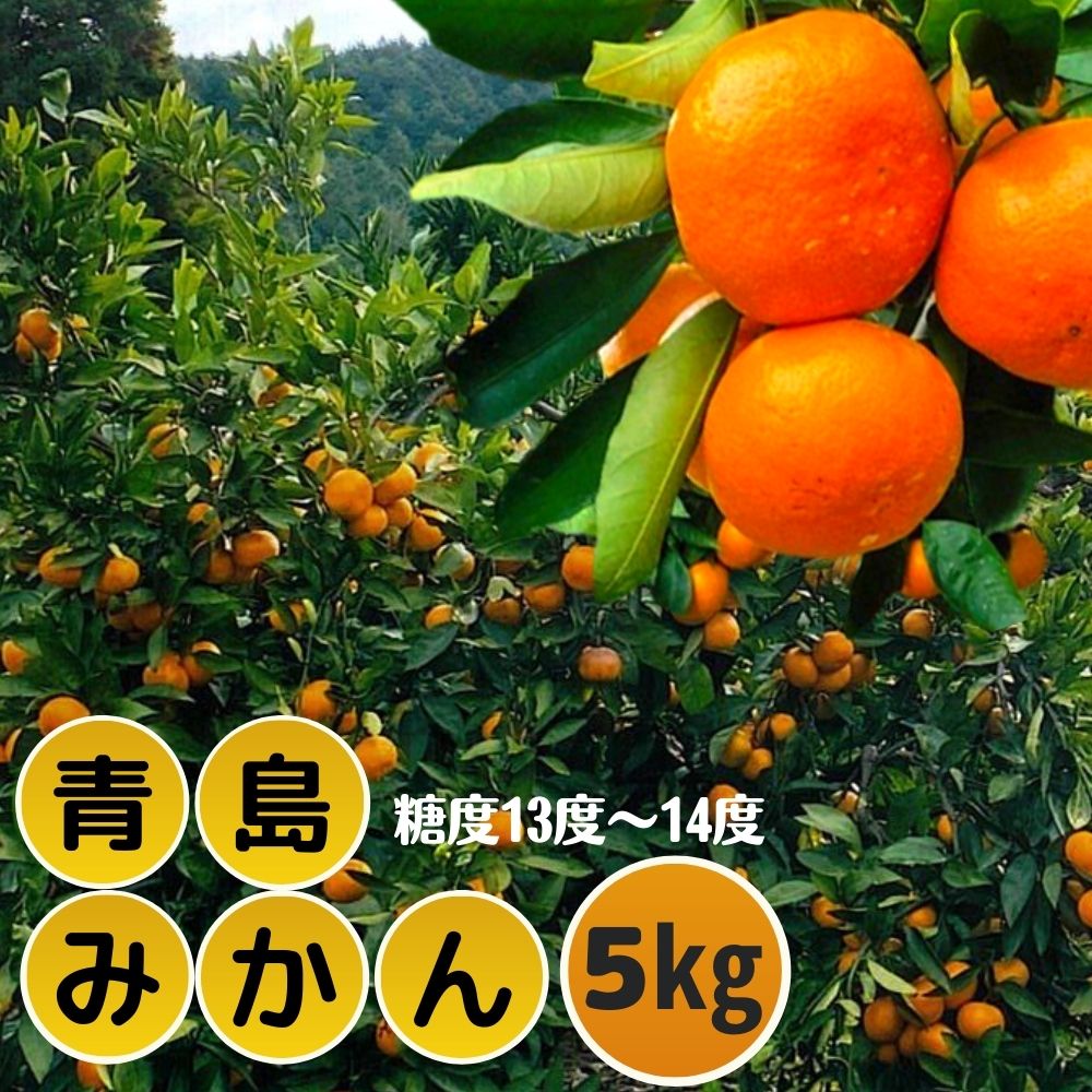 【ふるさと納税】＜先行予約受付中！2026年1月中旬より順次発送予定＞ みかん 青島(約5kg・補償分0.3kg) みかん ミカン 蜜柑 柑橘 フルーツ 果物 くだもの 果実 高橋農園 【109800400】【高橋　憲明】