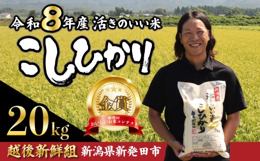 【2026年11月以降発送】 令和8年産 コシヒカリ 20kg 金賞米 先行予約 こしひかり 精米 白米 ご飯 おにぎり 弁当 新潟県産 新発田産 新潟 米 お米 こめ 受賞 越後新鮮組 新潟県 米 新潟県 新発田市 shinsengumi003_202611