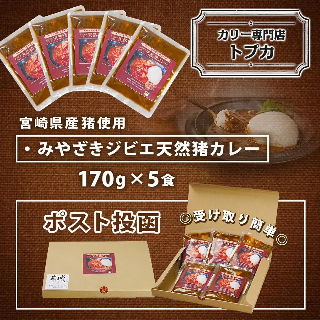 トプカ☆みやざきジビエ天然猪カレー5食セット※ポスト投函〔LD-J905〕_(都城市) カレー専門店 手づくり イノシシ ジビエカレー 和風 レトルト ポスト投函