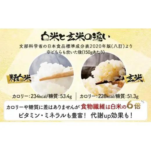 《令和7年産！》『100%自家生産玄米』善生さんの自慢の米 玄米おぼろづき２０kg※一括発送【06136】