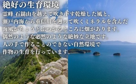 押しはだか麦 麦ごはん 食物繊維 愛媛県産 押しはだか麦【1kg】