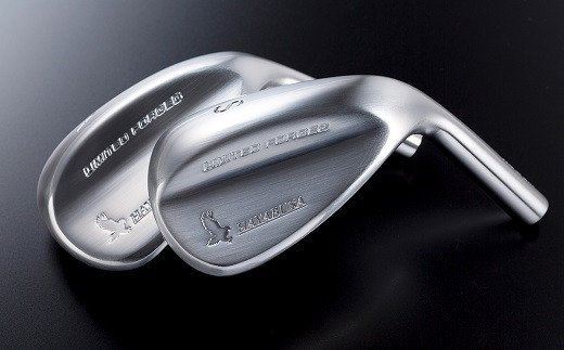 1096.HAYABUSA Limited ForgedウエッジAW50度、52度　ダイナミックゴールドEX　ツアーイシューシャフト