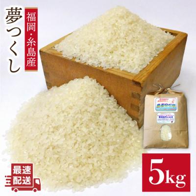 ふるさと納税 糸島市 農薬使わない栽培! 糸島産 夢つくし 5kg 米 糸島市[ABB025]