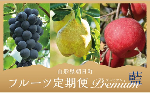 
                  【 定期便 3回 】 フルーツ ３種類 定期便 ( ぶどう 洋梨 りんご ） 秀品 プレミアム 藍コース 農家直送 山形県 朝日町産 農産物 山形産 ブドウ ピオーネ ラ・フランス リンゴ サンふじ 果物 秋 冬
                