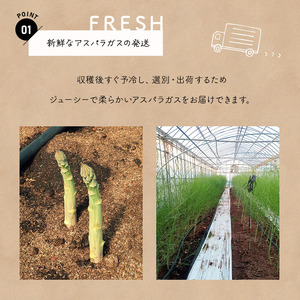 生で食べれる ? アスパラガス 2色 セット（ グリーン ・ ホワイト  ）約 1.1kg | 新鮮 アスパラ 野菜 ソムリエ 健康 熊本県産 熊本 玉名