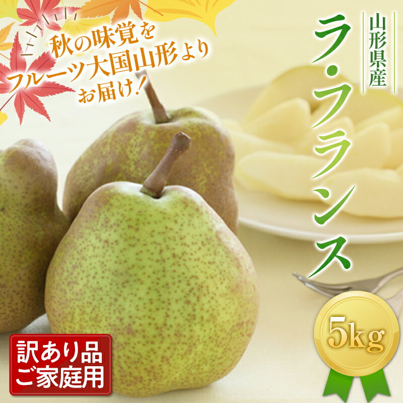 【ふるさと納税】《先行予約》ご家庭用 山形県産西洋梨 ラ・フランス5kg 11月上旬から順次発送 洋梨 洋なし ラフランス 秋果実 果物 くだもの フルーツ 訳あり 農業者 農家 支援 自宅 家庭 産地直送 山形県 西川町 月山 FYN9-598var