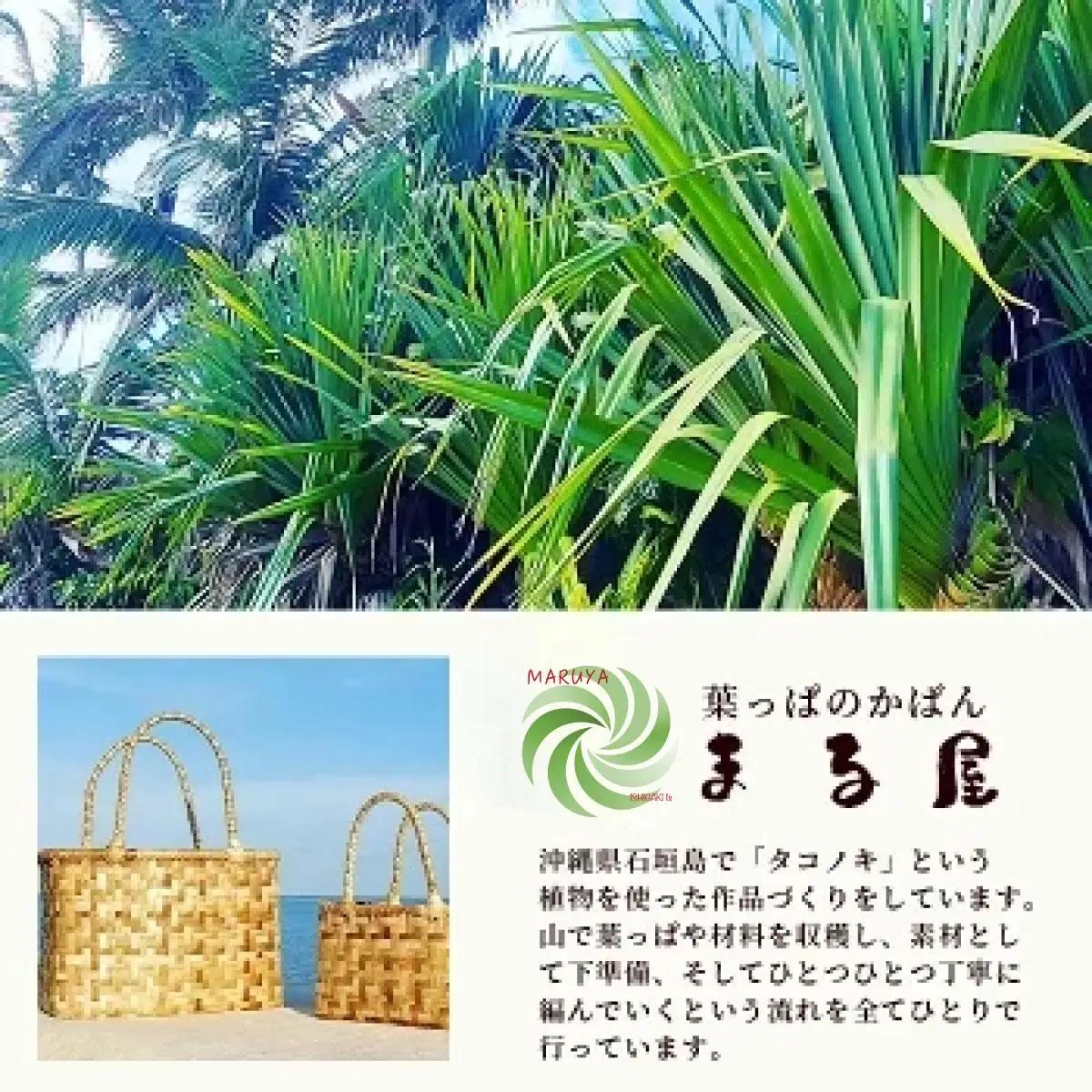 アダン マース袋2個セット　 HM-6