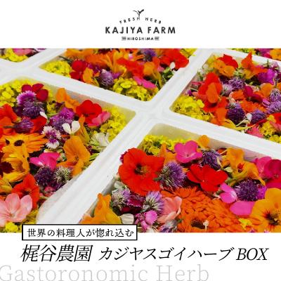 ふるさと納税 三原市 【世界の料理人が惚れ込む】広島・梶谷農園のハーブ カジヤスゴイハーブBOX [168-002]