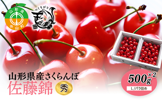 《先行予約・期間限定》さくらんぼ 佐藤錦 秀L 500g×2《バラ詰め》数量限定 F4A-0073