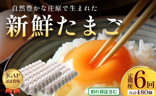 定期便 6回配送 新鮮 たまご 80個×6回 合計480個 | 自然豊かな庄原で生まれた 新鮮たまご 広島県 庄原市 卵 たまご 玉子 タマゴ 鶏卵 生卵 ワケアリ 訳アリ MSサイズ～2Lサイズ サイズ混合 サイズ指定不可
