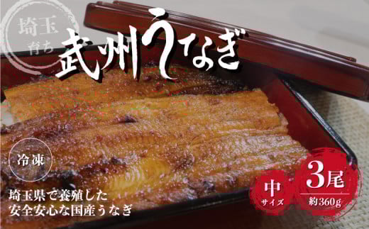 国産うなぎ蒲焼 中サイズ 3尾/ 約360g 冷凍真空パック
