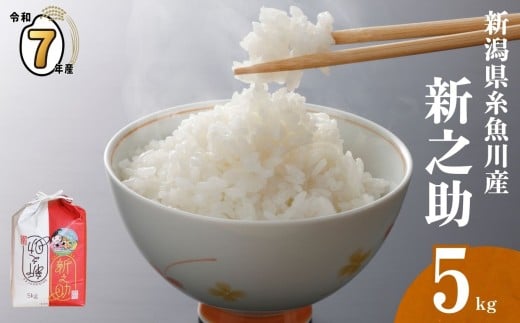 【2026年3月発送】令和7年産新米予約 新潟県 糸魚川産 『新之助』5kg 2025年産 農家直送 お米の配達人【しんのすけ 米 お米 白米 こめ コメ ご飯 ライス ふるさと納税米 ブランド米 新潟県 糸魚川 食品 人気 おすすめ 5キロ 選べる配送月 先行予約】