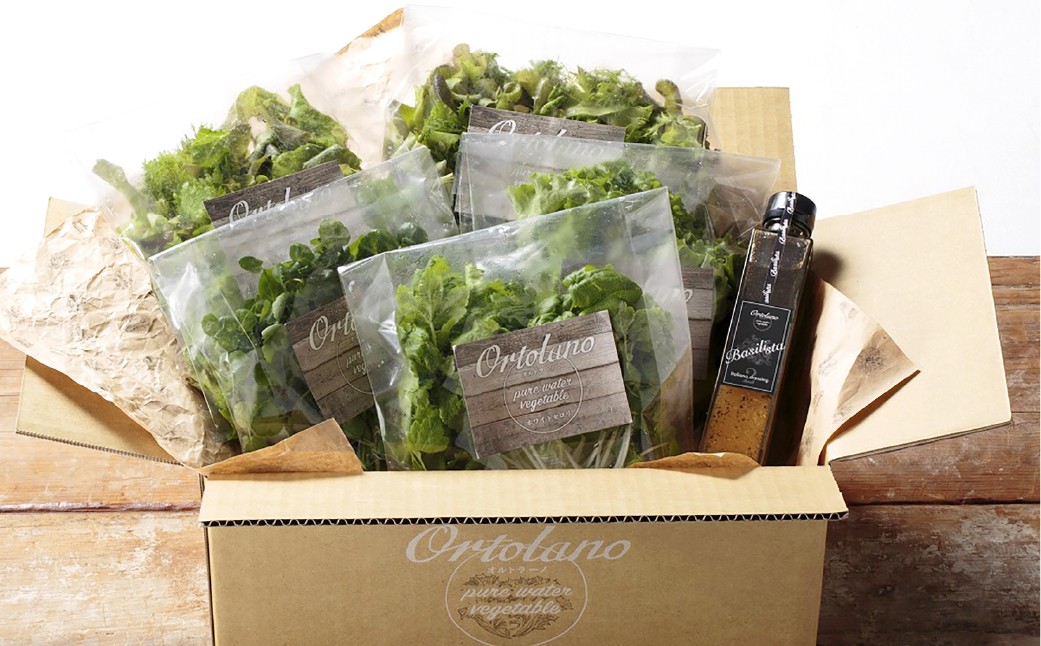 
            【Ortolano】ファーストクラスのサラダ＆ドレッシングセット A サラダ ドレッシング 詰め合わせ セット 野菜 岡山県 倉敷市
          