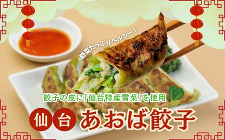 餃子 仙台あおば餃子　30個入【kann003】