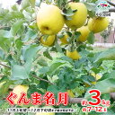 【ふるさと納税】ぐんま名月 約3kg (約7～12玉) 《中沢農園》■2024年発送■※11月上旬頃～12月下旬頃まで順次発送予定 フルーツ 果物 りんご リンゴ 林檎