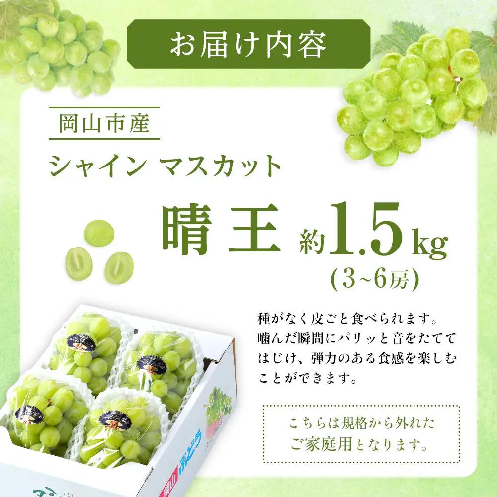 ぶどう 2026年  ご家庭用 シャインマスカット 晴王 3～6房 約1.5kg 葡萄  岡山県産 国産 フルーツ 果物 | シャインマスカット