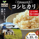 【ふるさと納税】《選べる容量》【米の定期便】福島県鏡石町産 和田農園「コシヒカリ」玄米《5kg 10kg》 6か月連続 F6Q-206var