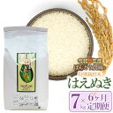 【ふるさと納税】【令和6年産 先行予約】【定期便6ヶ月】ばんどう農園の特別栽培米 はえぬき7kg×6ヶ月　K-630