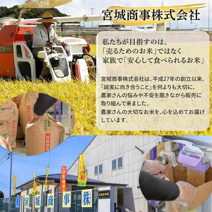 ≪令和7年産≫ つや姫 精米 10kg(10kg×1袋) 登米市産 米 お米 おこめ ごはん ご飯 白米 おにぎり お弁当 10kg 【宮城商事株式会社】tm467