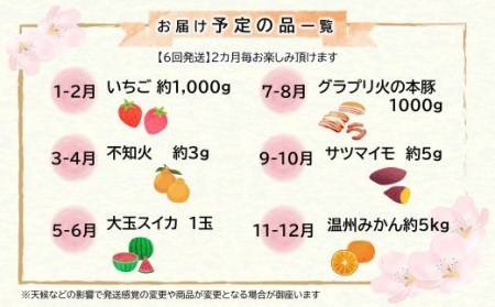 【定期便６回】支援企画！くまもと生産農家応援定期便！　コロナ影響・災害被害　なごみ町