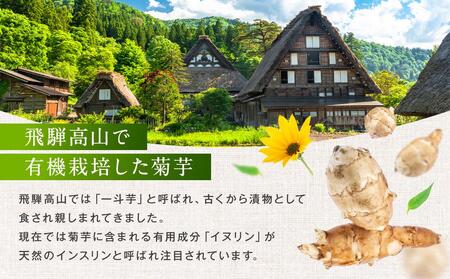 【2027年 先行予約】飛騨高山で有機栽培した「菊芋」1kg | 芋 菊芋 JC014